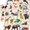 Quokka Montessori Wooden Puzzles for Toddlers