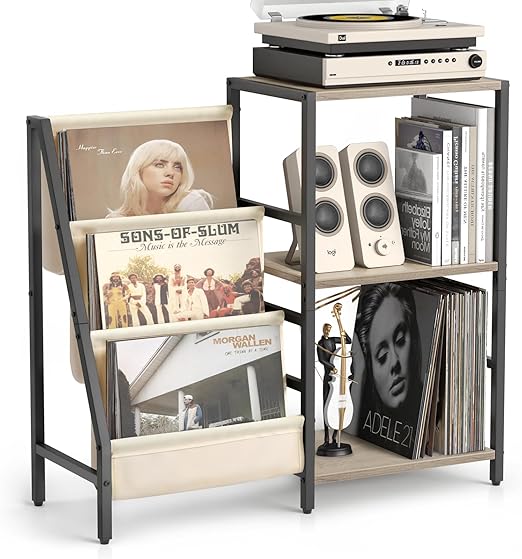 Vinyl Record Storage Stand