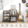 Vinyl Record and Guitar Stand Combo