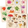 Quokka Montessori Wooden Puzzles for Toddlers