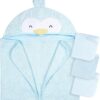 Gerber Baby Lion Hooded Towel and Washcloth Set