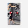 Smart Music Bluetooth Boxing Target Trainer